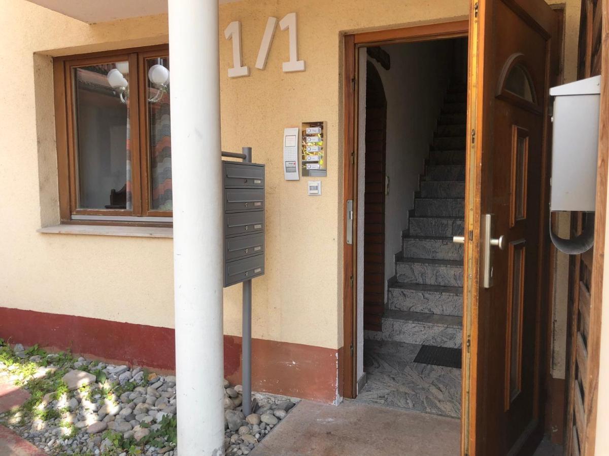 Ferienwohnung Sonne Schliengen Exteriör bild